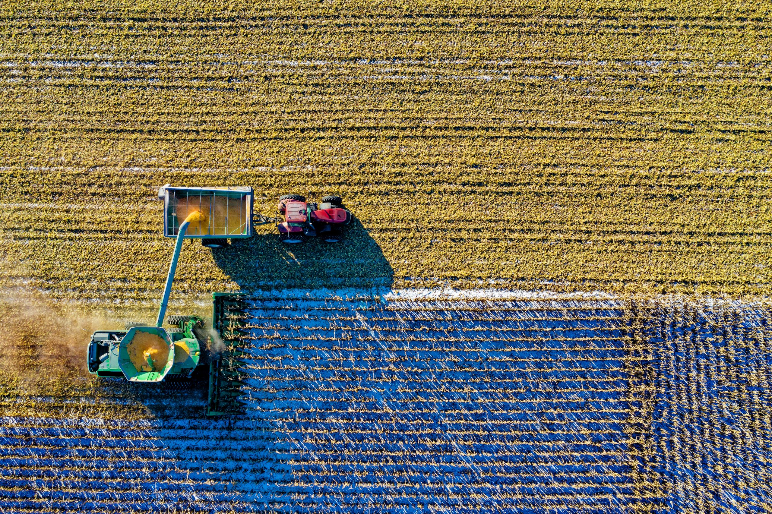 top-view-of-green-field-1595104